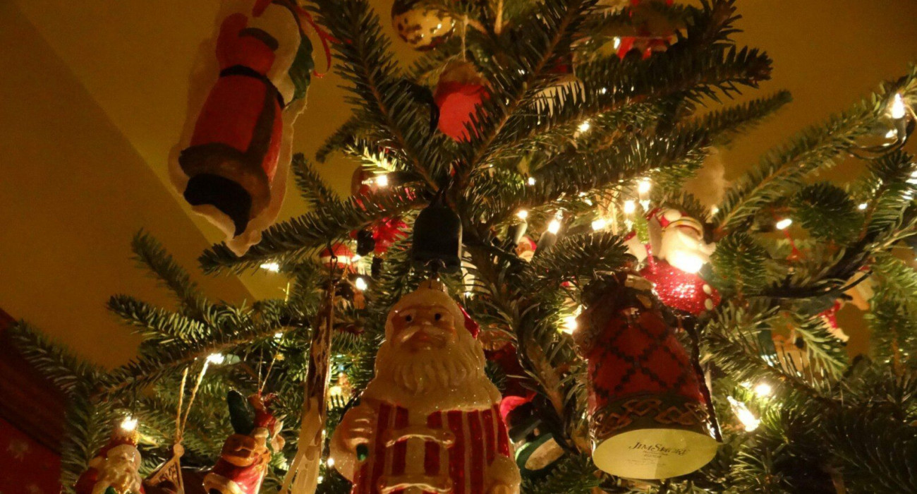 looking-up-santa-tree